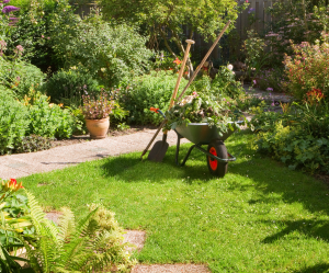 Bild: Ein gepflegter Garten